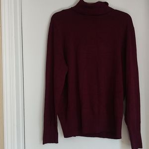 Womens Plus Size turtle neck